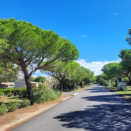 Kemp Bb - Confort & Charme - Au Coeur De L'occitanie, 3 Ch,2 Sdb, Entre Et Campagne